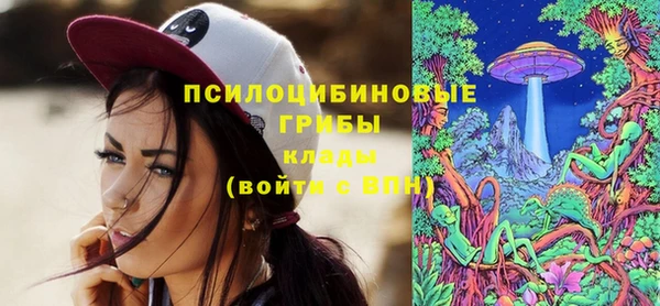mix Бородино