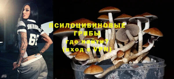 дмт Бугульма