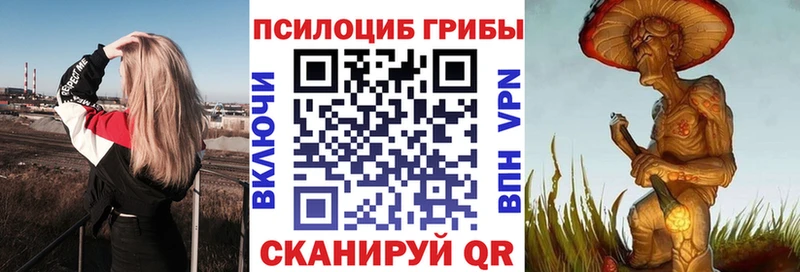 Псилоцибиновые грибы Magic Shrooms  Дигора 